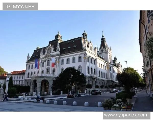 斯洛文尼亚足球球星崛起之路与国家队精彩表现全解析 斯洛文尼亚足球球星崛起之路与国家队精彩表现全解析