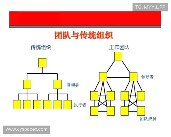 上海足球队选拔赛团队协作表现分析与提升建议