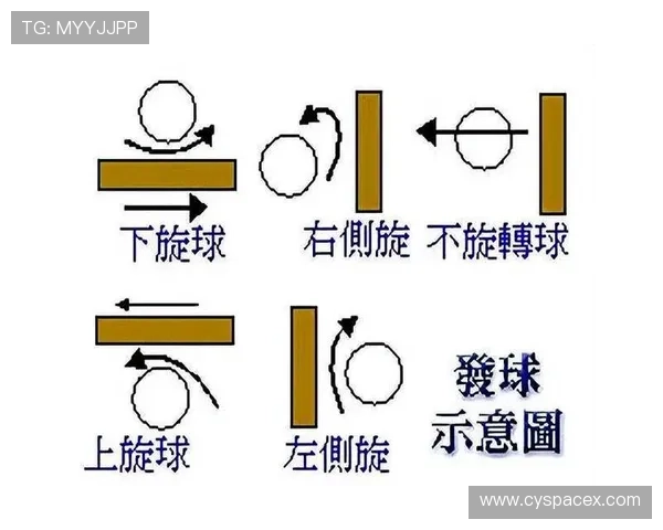 科学乒乓球训练法揭秘：提升实力的有效技巧与方法分享