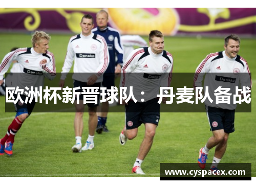 欧洲杯新晋球队：丹麦队备战