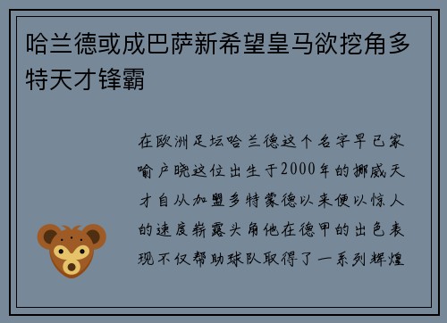 哈兰德或成巴萨新希望皇马欲挖角多特天才锋霸