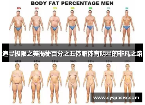 追寻极限之美揭秘百分之五体脂体育明星的非凡之路