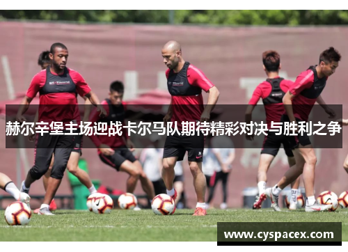 赫尔辛堡主场迎战卡尔马队期待精彩对决与胜利之争